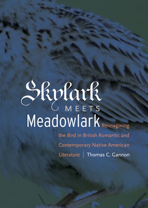 Skylark Meets Meadowlark