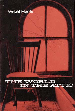 The World in the Attic