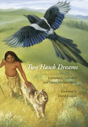 Two Hawk Dreams