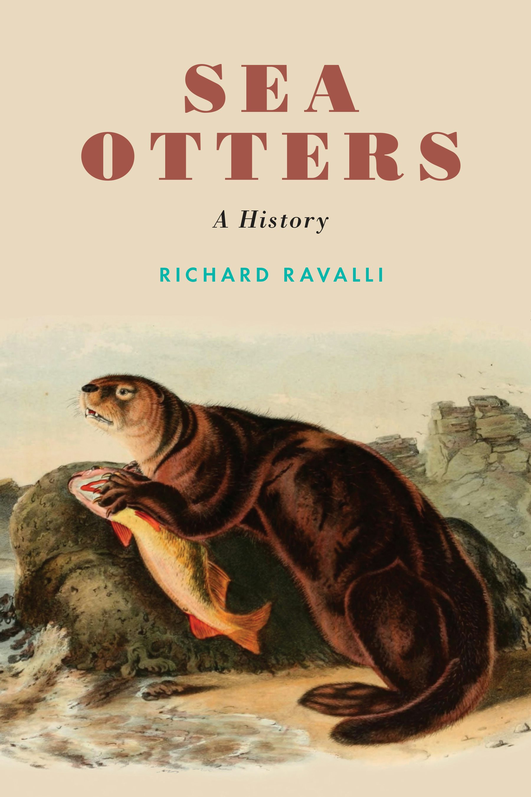 Sea Otters - Nebraska Press