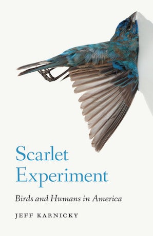 Scarlet Experiment
